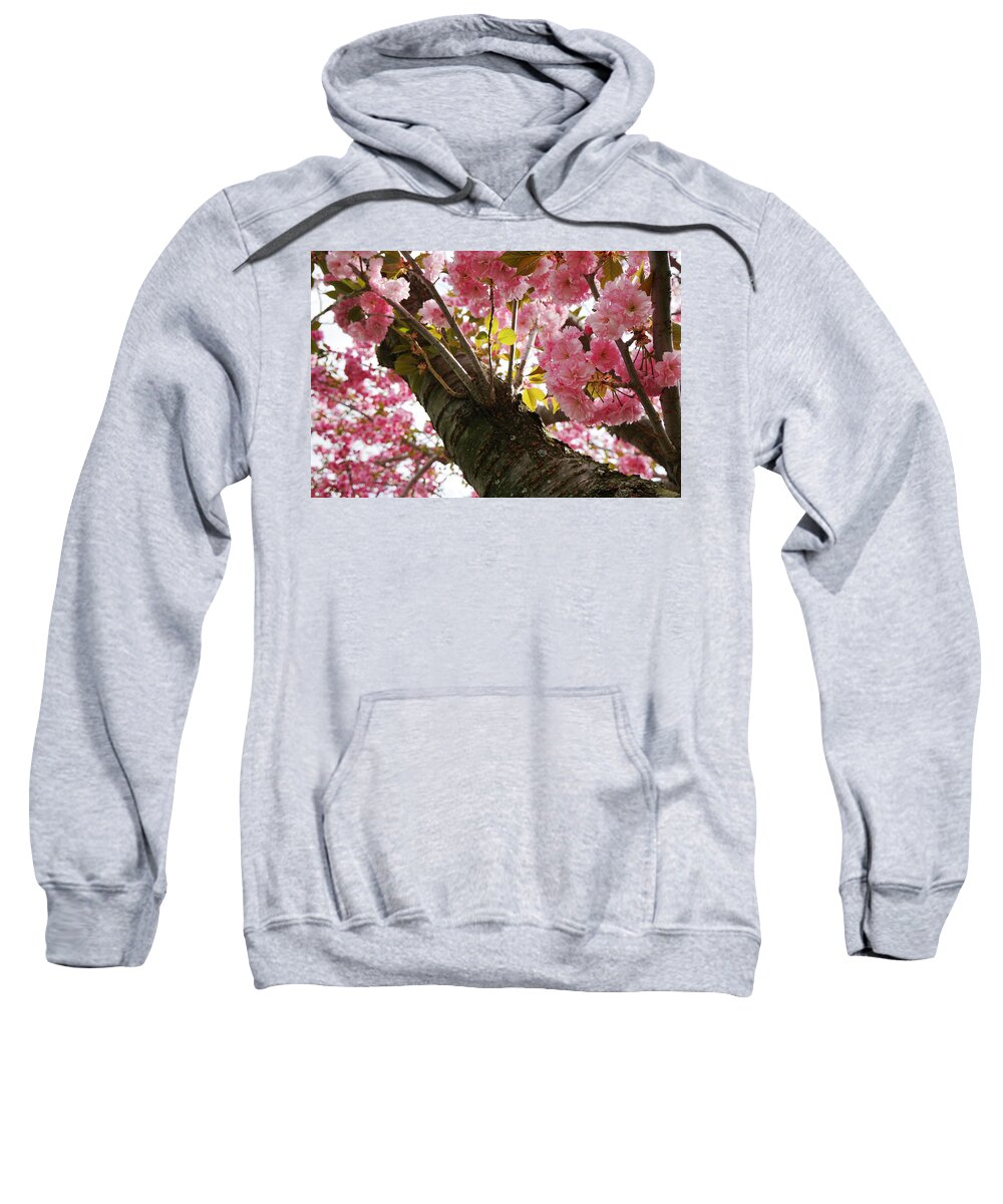 Flowers Sweatshirt featuring the photograph In Bloom by Christopher Brown