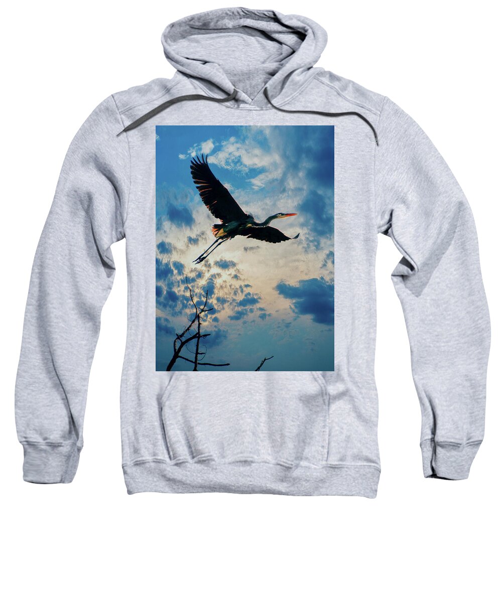  Sweatshirt featuring the photograph In Flight by Rick Redman