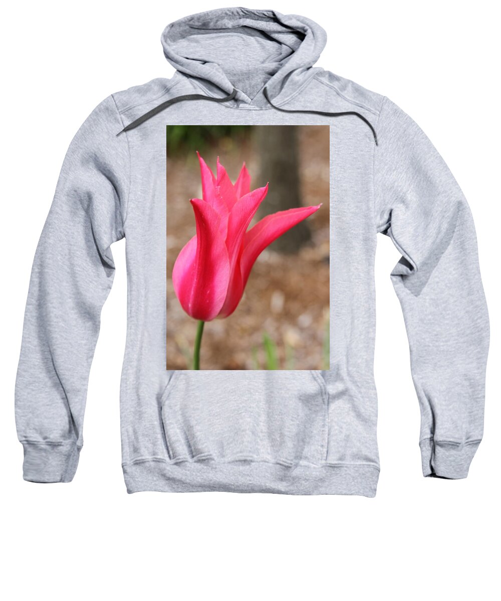 Bloom Sweatshirt featuring the photograph In Full Bloom by Laddie Halupa