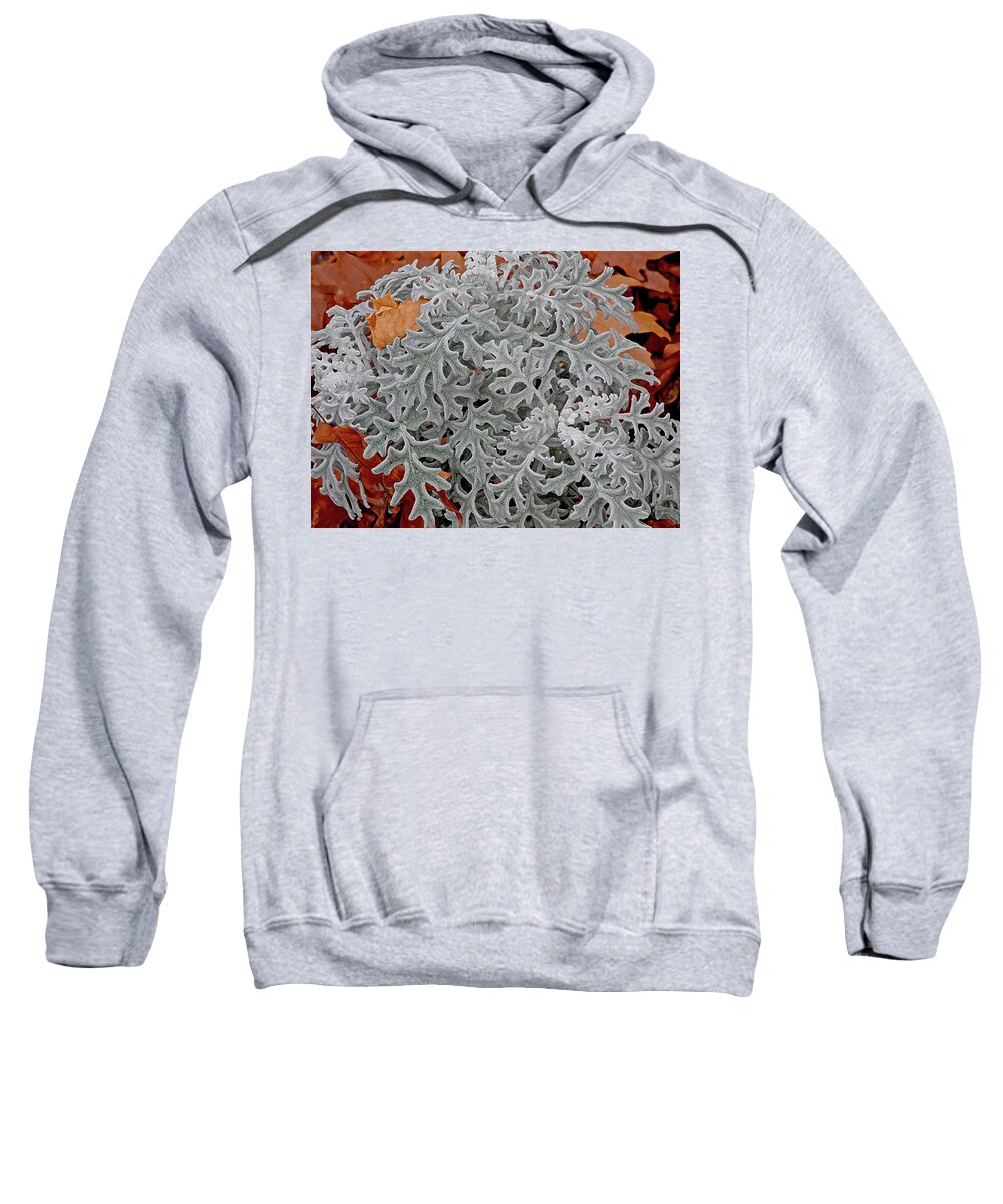 Patterns Sweatshirt featuring the photograph In Perfect Form by Lynda Lehmann