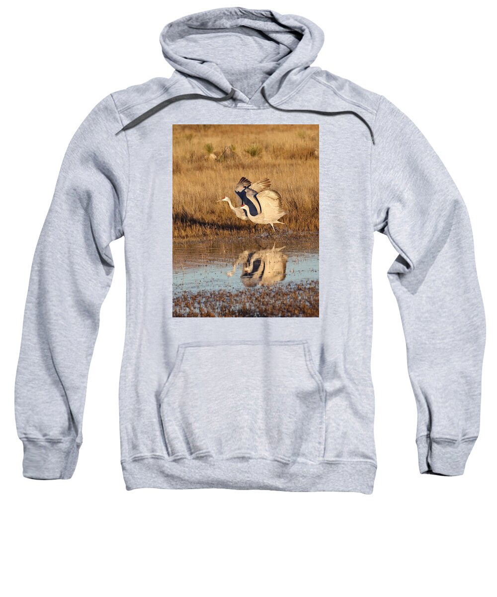 Sandhill Sweatshirt featuring the photograph In Sync by Jean Clark