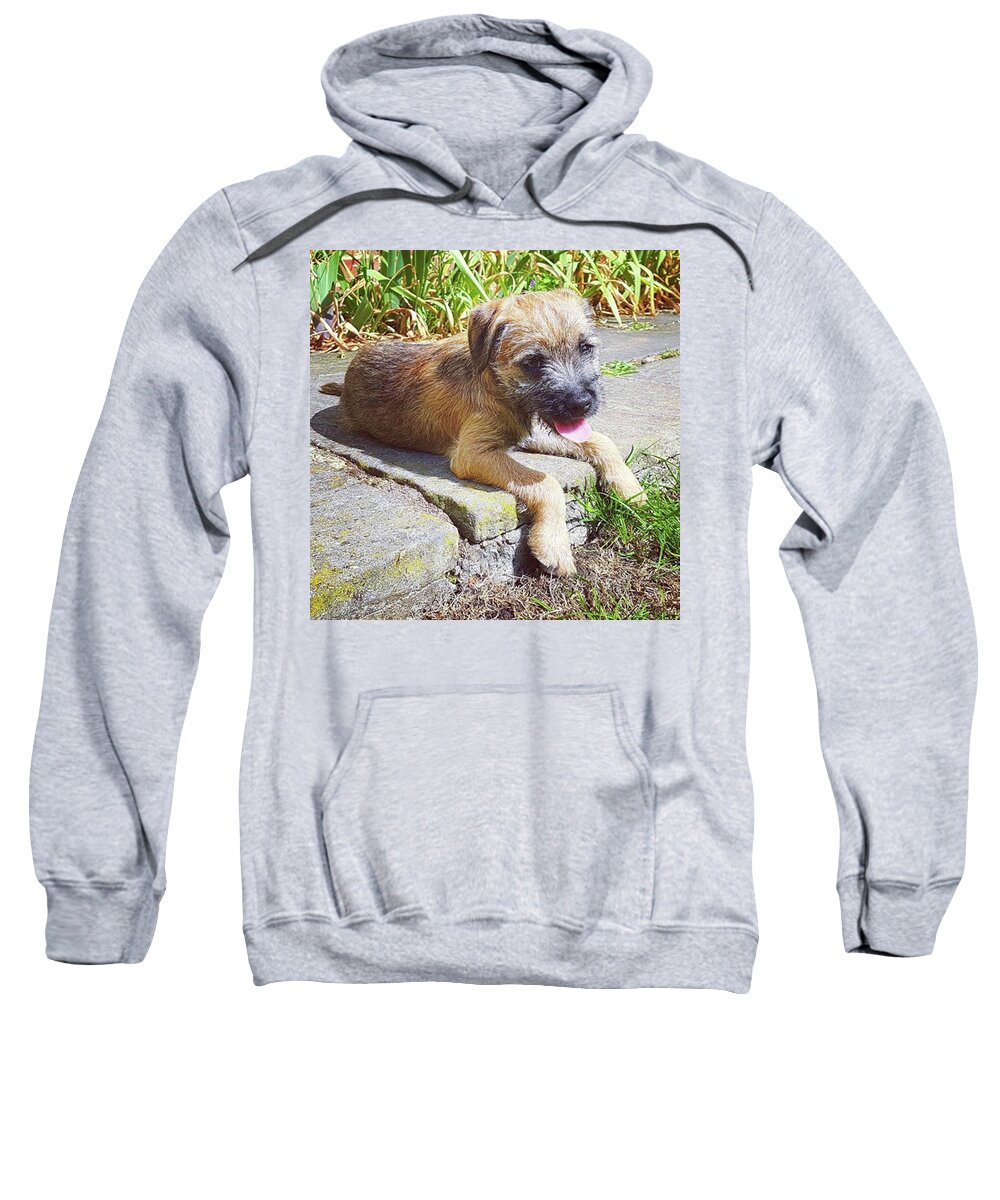 Dog Sweatshirt featuring the photograph Puppy Days by Rowena Tutty