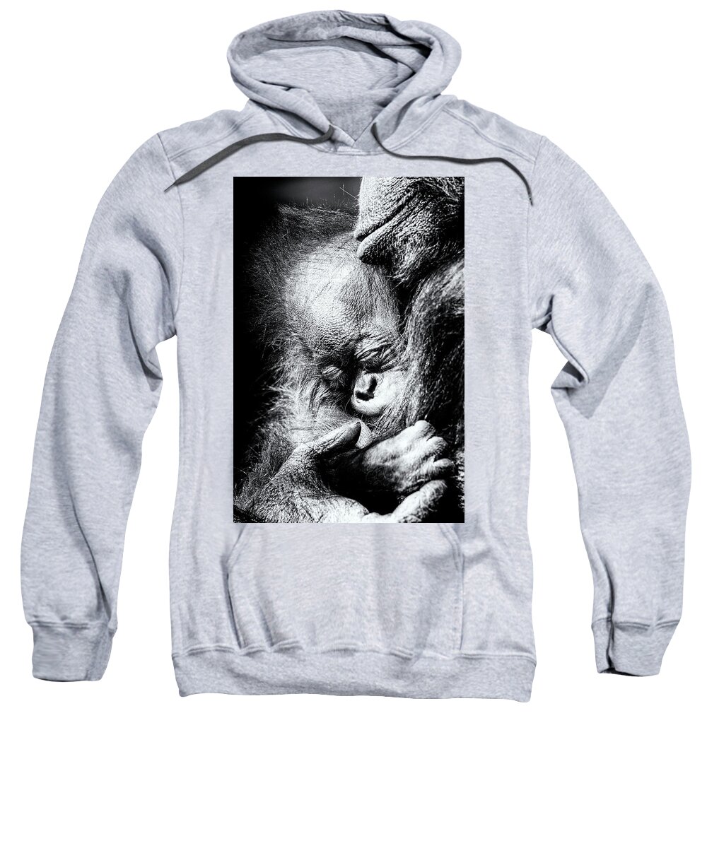 Crystal Yingling Sweatshirt featuring the photograph It's Moments Like These... by Ghostwinds Photography