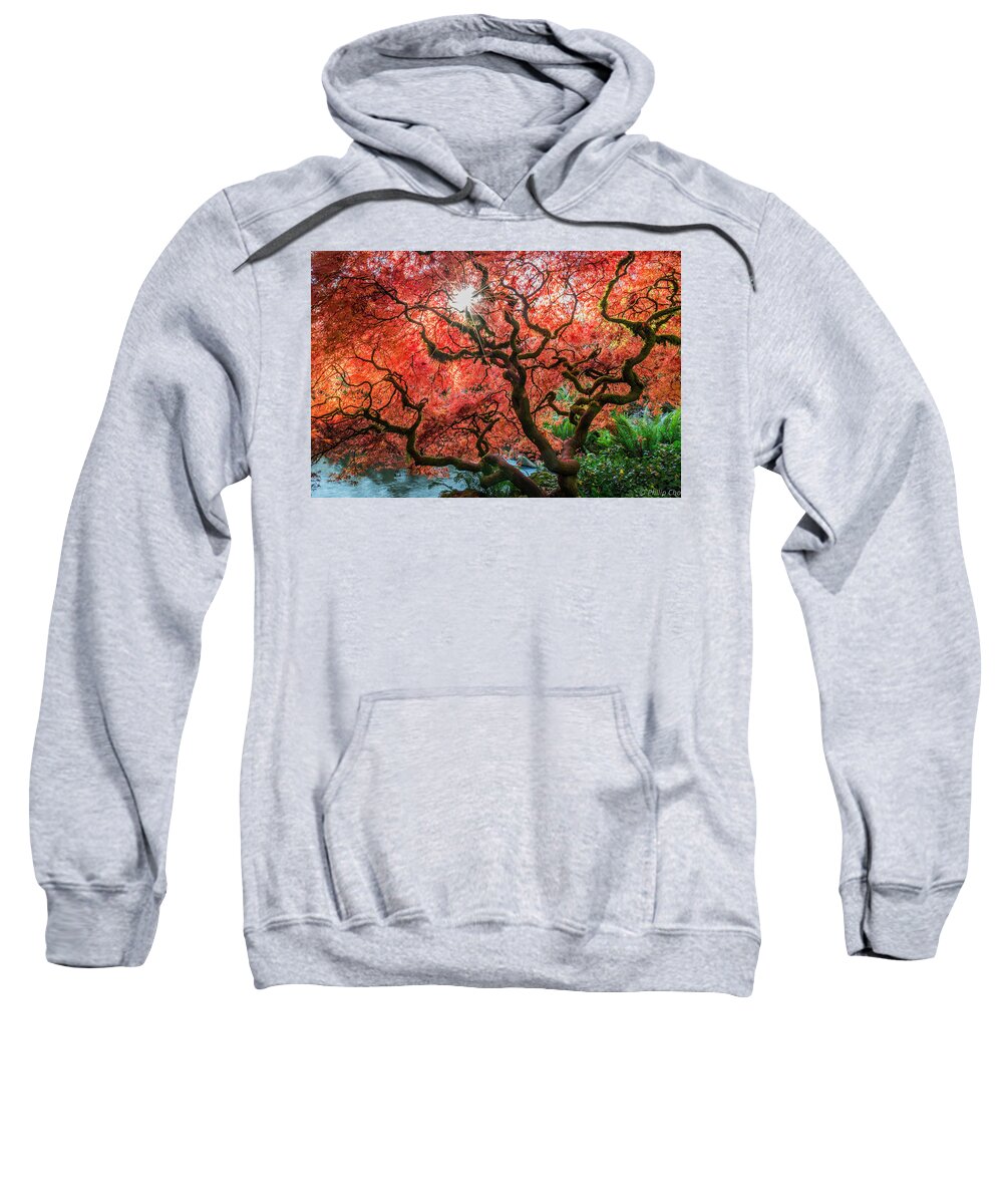 Japanese Sweatshirt featuring the photograph Japanese maple tree by Philip Cho