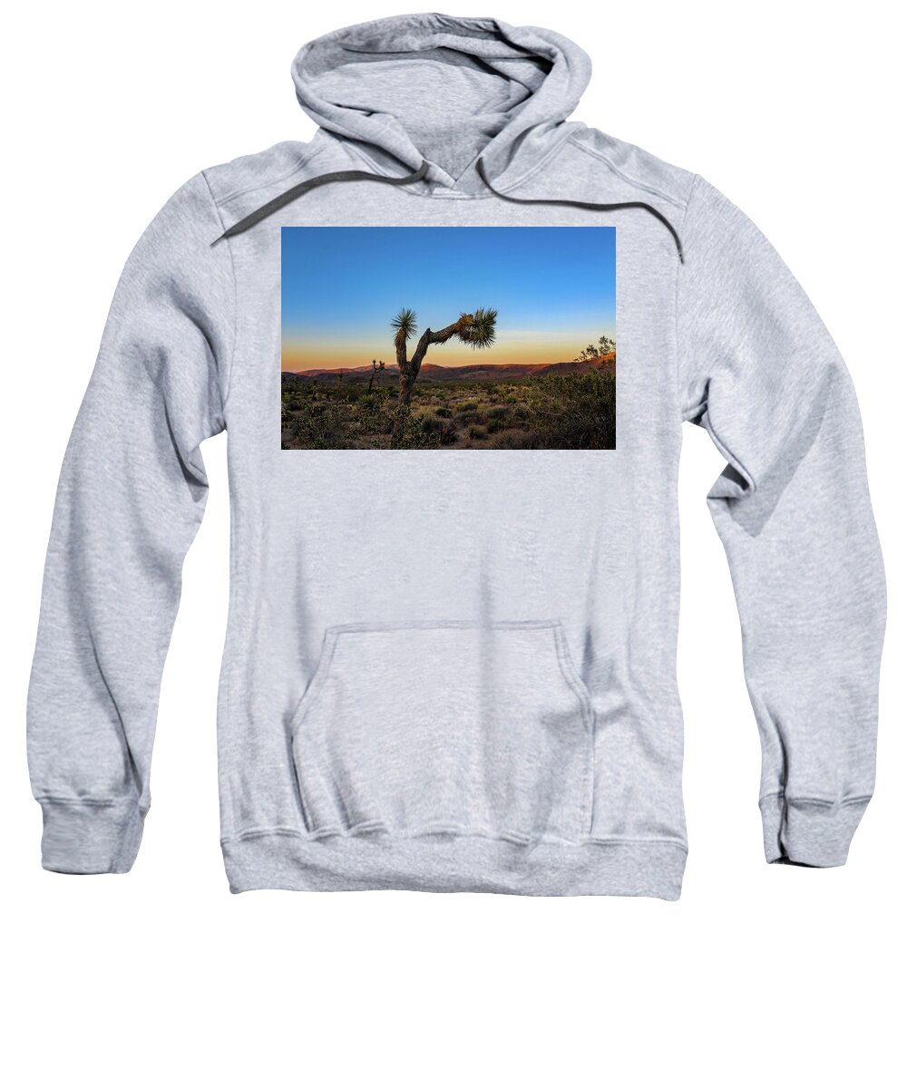 Desert Sweatshirt featuring the photograph Joshua Tree by Alison Frank