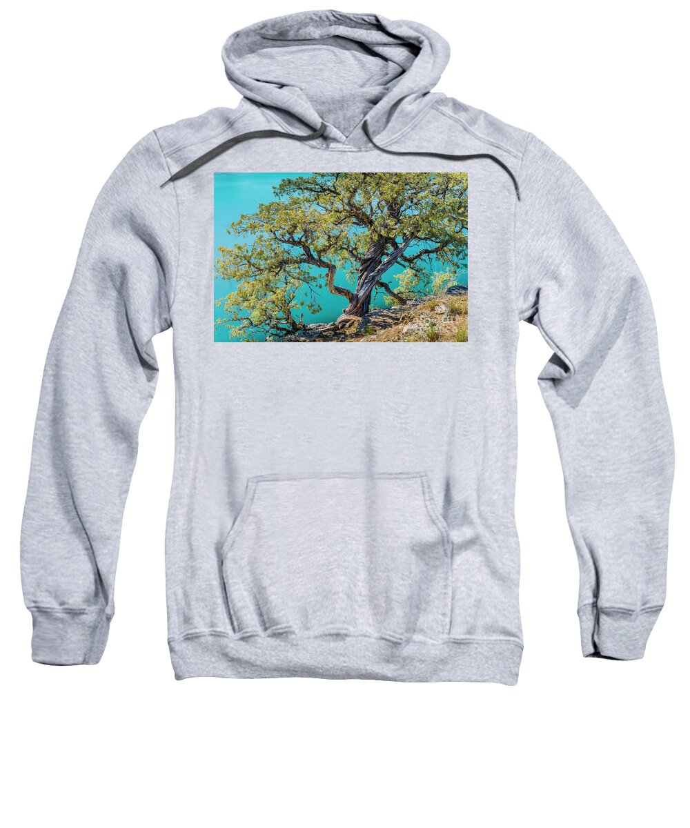 British Columbia Sweatshirt featuring the photograph Juniper Tree by Michael Wheatley