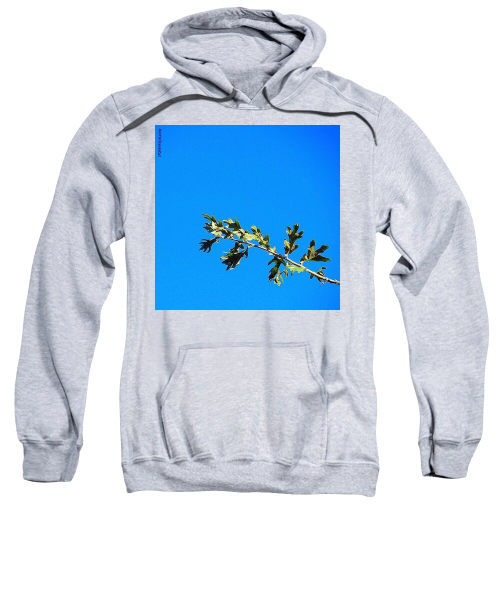 Nature_brilliance Sweatshirt featuring the photograph Just A Perfect #sunny #noclouds by Austin Tuxedo Cat