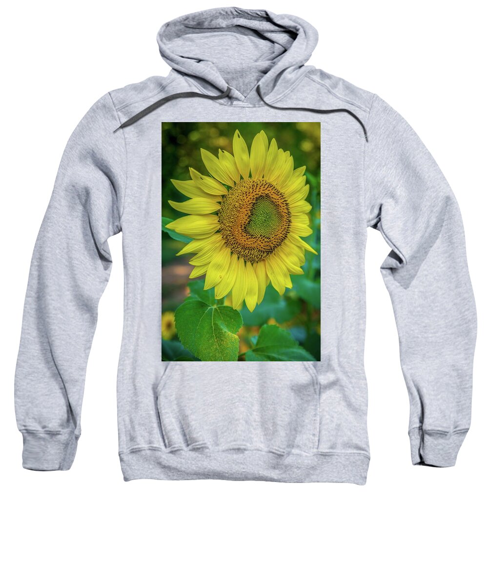 Sunflowers Sweatshirt featuring the photograph Just A Sunflower by Sandra Burm