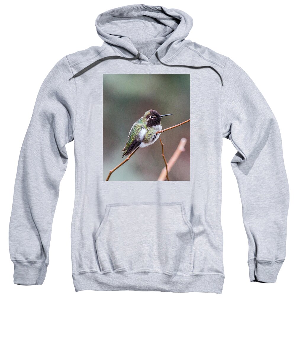 Nature Photography Sweatshirt featuring the photograph Karisa's Hummingbird.2 by E Faithe Lester