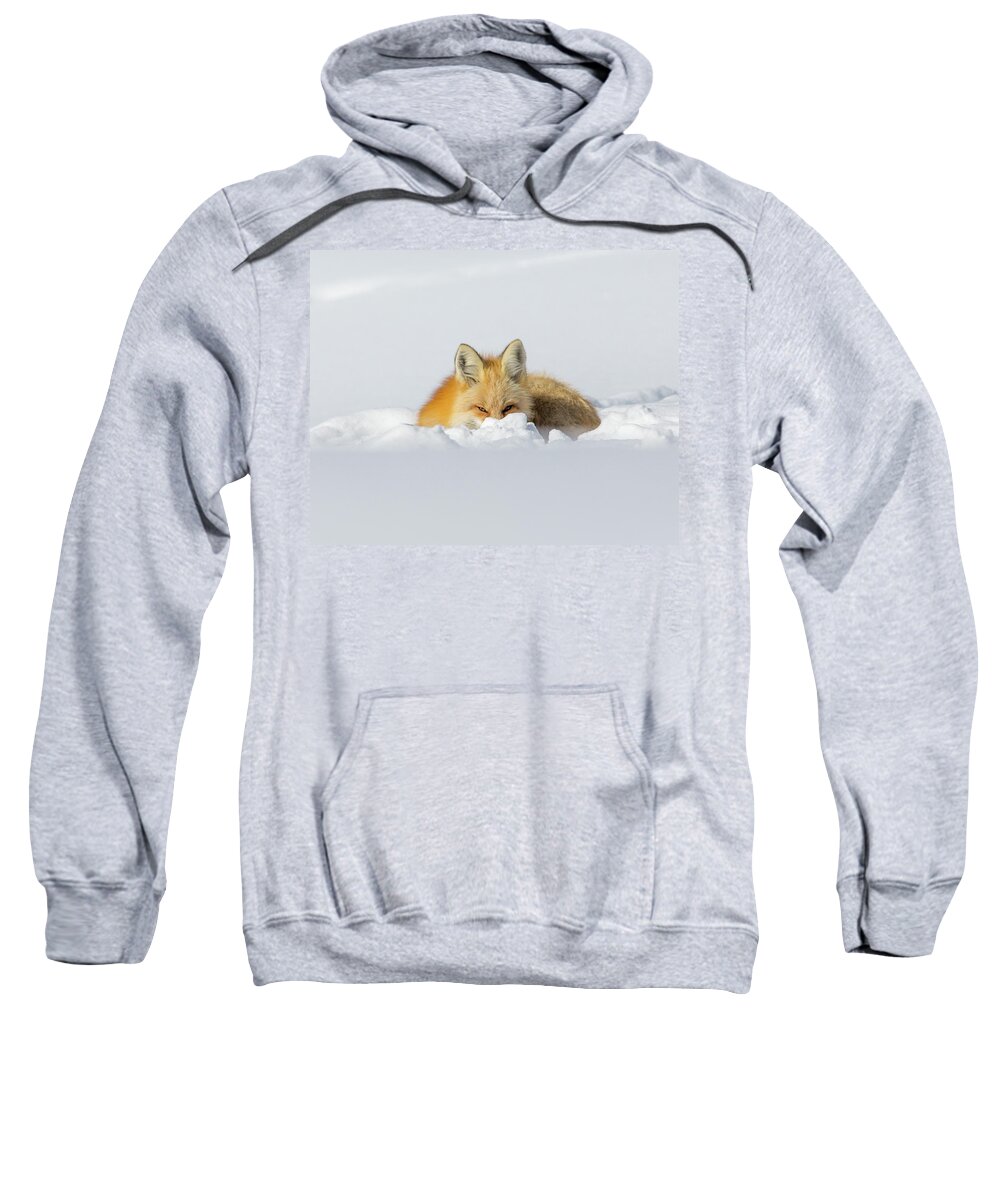 Elk Sweatshirt featuring the photograph Snow Hide by Kevin Dietrich