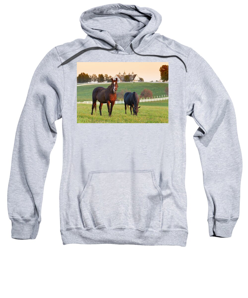 Farm Sweatshirt featuring the photograph Kentucky Pride by Alexey Stiop