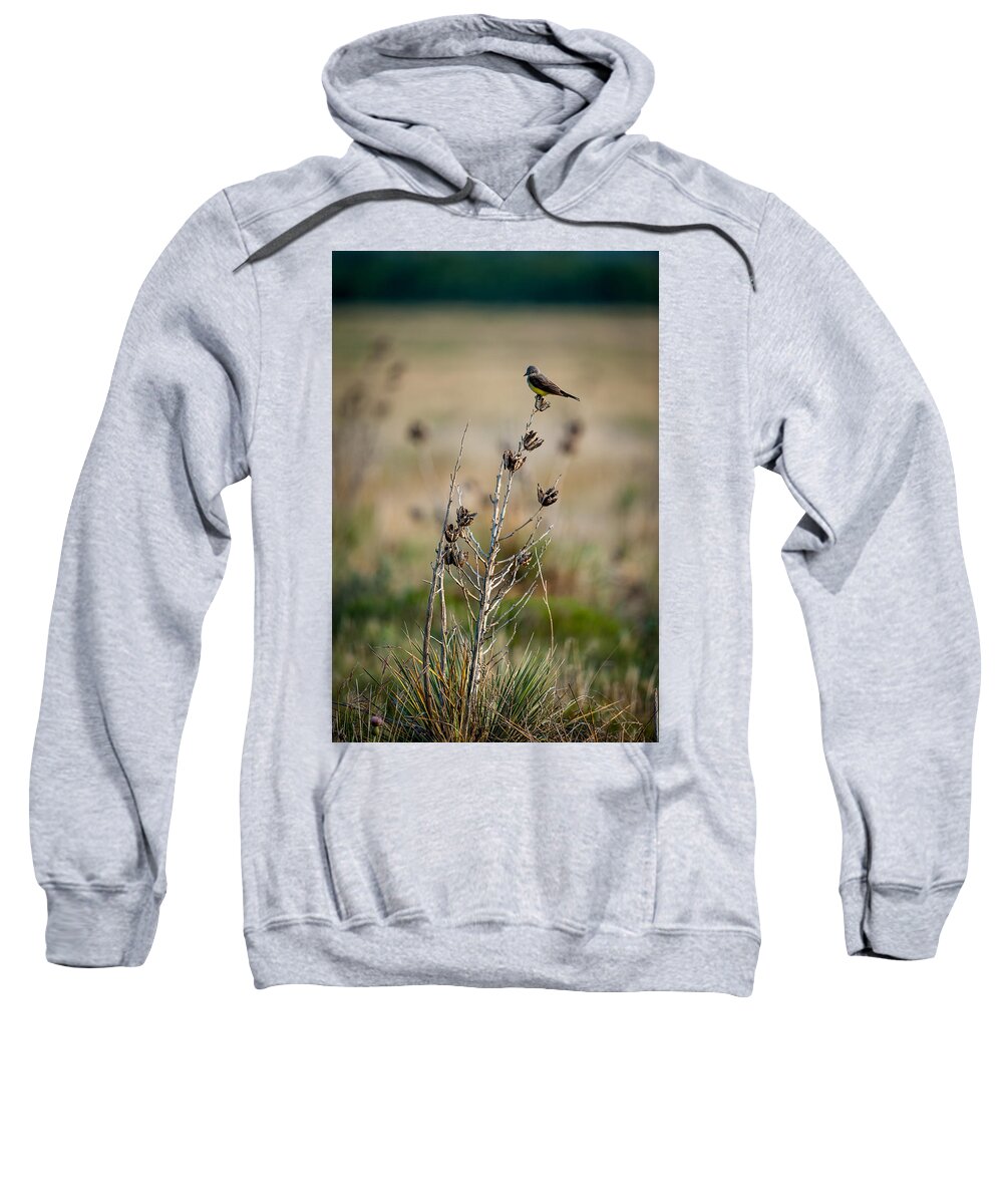 Bird Sweatshirt featuring the photograph Kingbird on Yucca by Jeff Phillippi