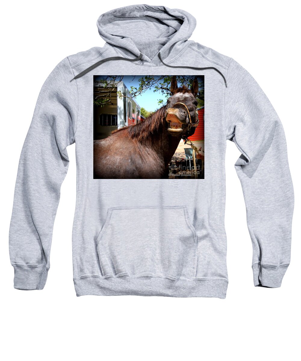 Horses Sweatshirt featuring the photograph Kiss Me by Rabiah Seminole