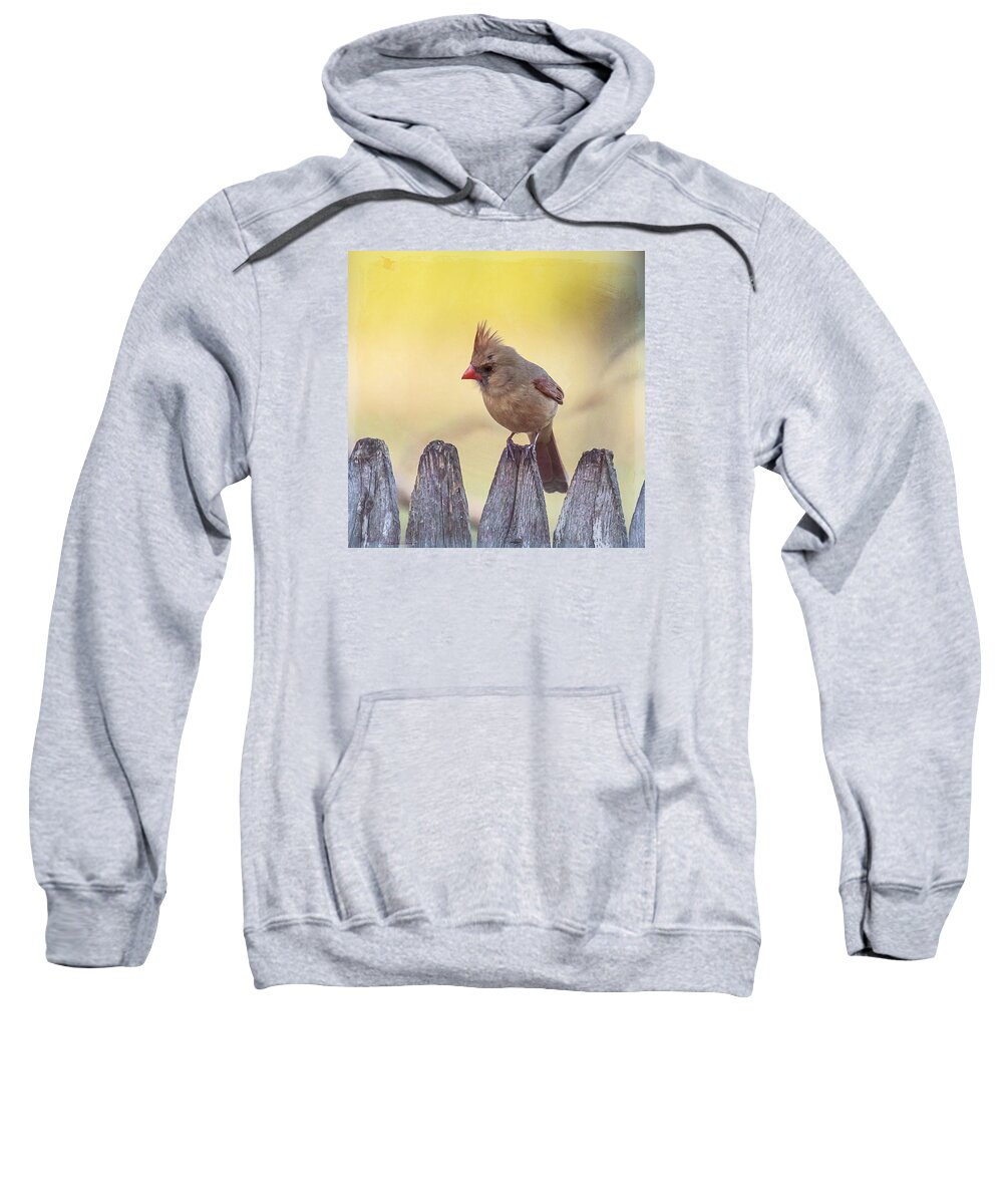 Bird Sweatshirt featuring the photograph Lady Cardinal by Cathy Kovarik