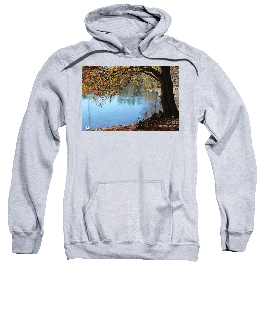 Tallahassee Sweatshirt featuring the photograph Lake Ella Winter Cypress by Carol Groenen