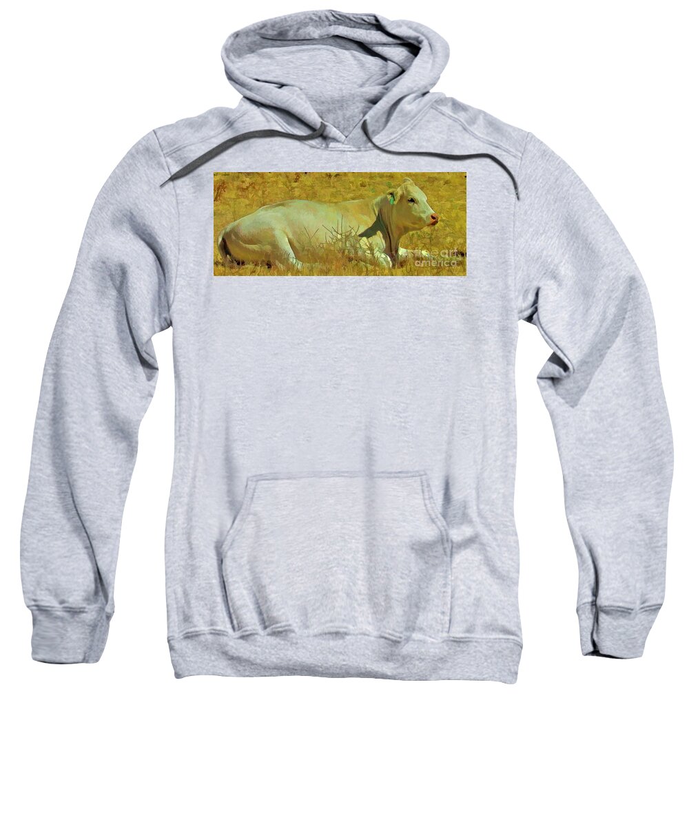 Cow Sweatshirt featuring the photograph Lazy Daze by Joyce Creswell