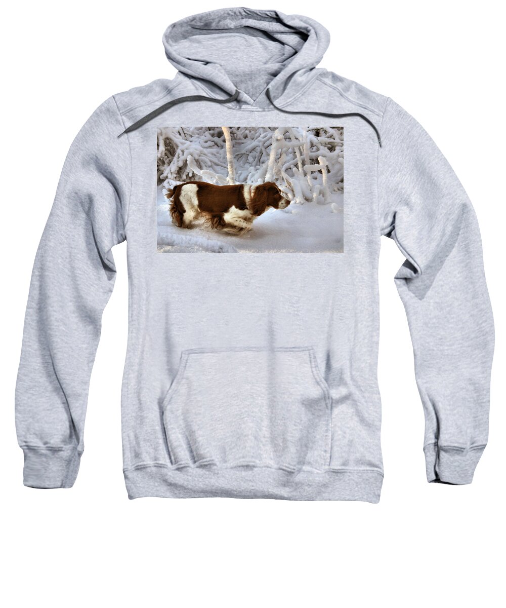 Springer Spaniel Sweatshirt featuring the photograph Leading the Way by Kristin Elmquist