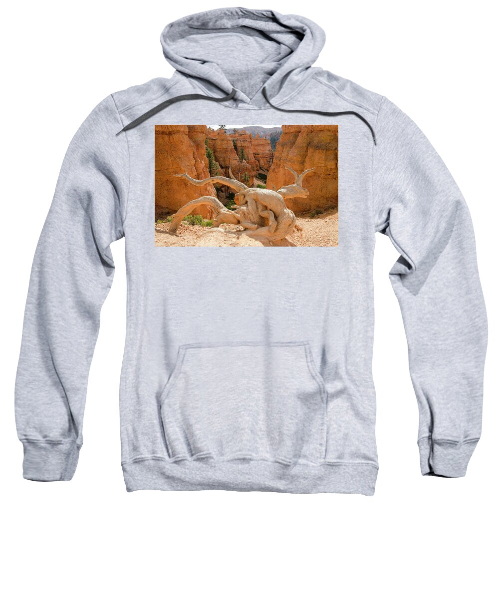 Bryce Canyon Sweatshirt featuring the photograph Legend People by Jim Cook