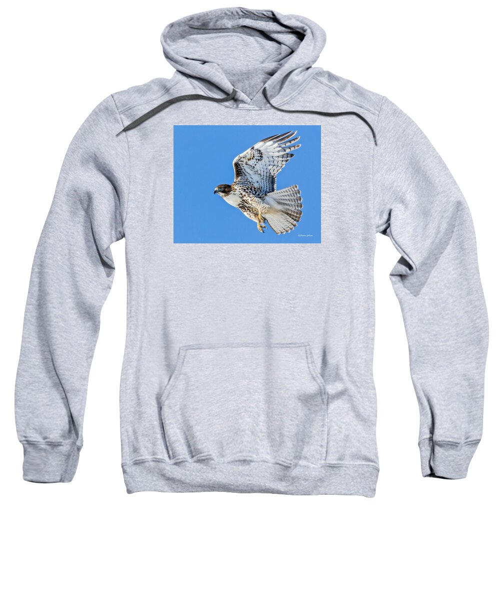Red-tailed Hawk Sweatshirt featuring the photograph Light Morph Juvenile Red-tailed Hawk by Stephen Johnson