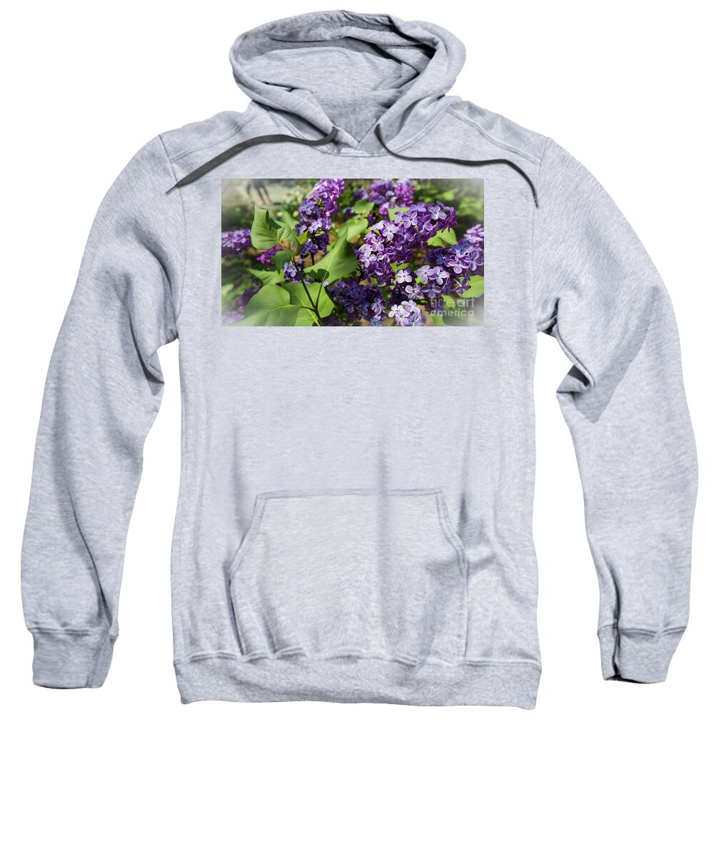 National Arboretum Sweatshirt featuring the photograph Lilac by Agnes Caruso