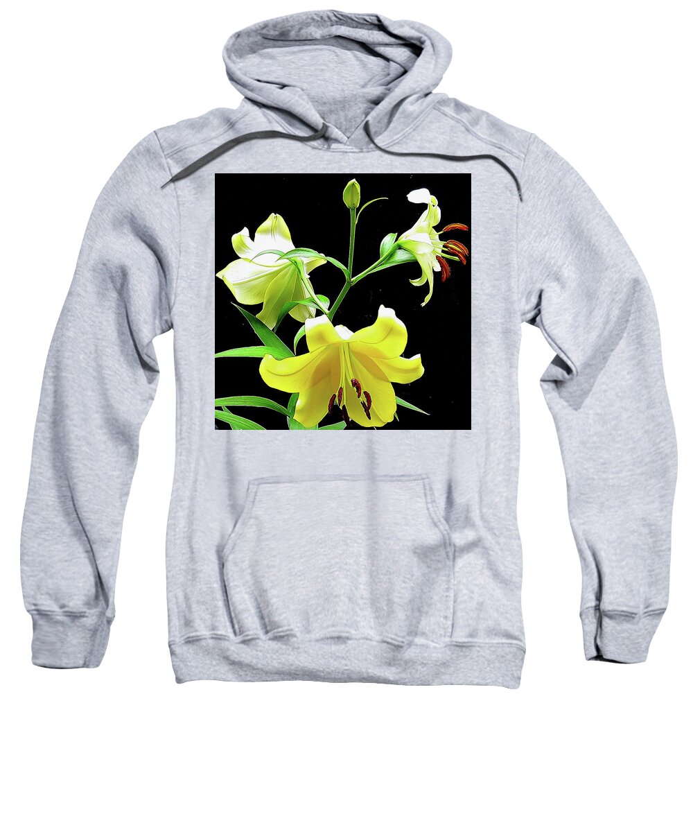 Flower Sweatshirt featuring the photograph Lilies in the sun by Linda Stern