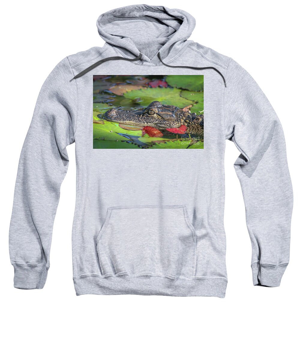 Gator Sweatshirt featuring the photograph Lily Pad Gator by Tom Claud