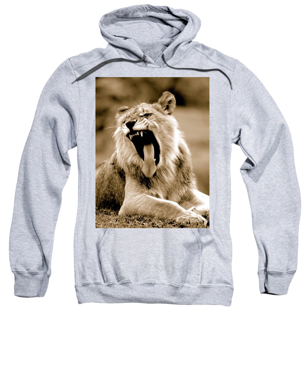 Lion Sweatshirt featuring the photograph Lion Roar by Gunther Allen