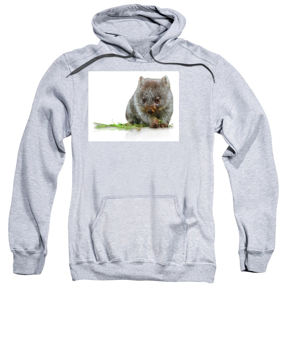 Australia Sweatshirt featuring the photograph Little Wombat by Benny Marty