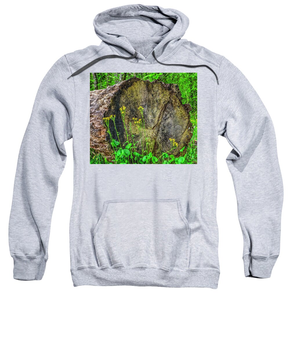 Landscapes Sweatshirt featuring the photograph Log and Flowers by Roberta Kayne