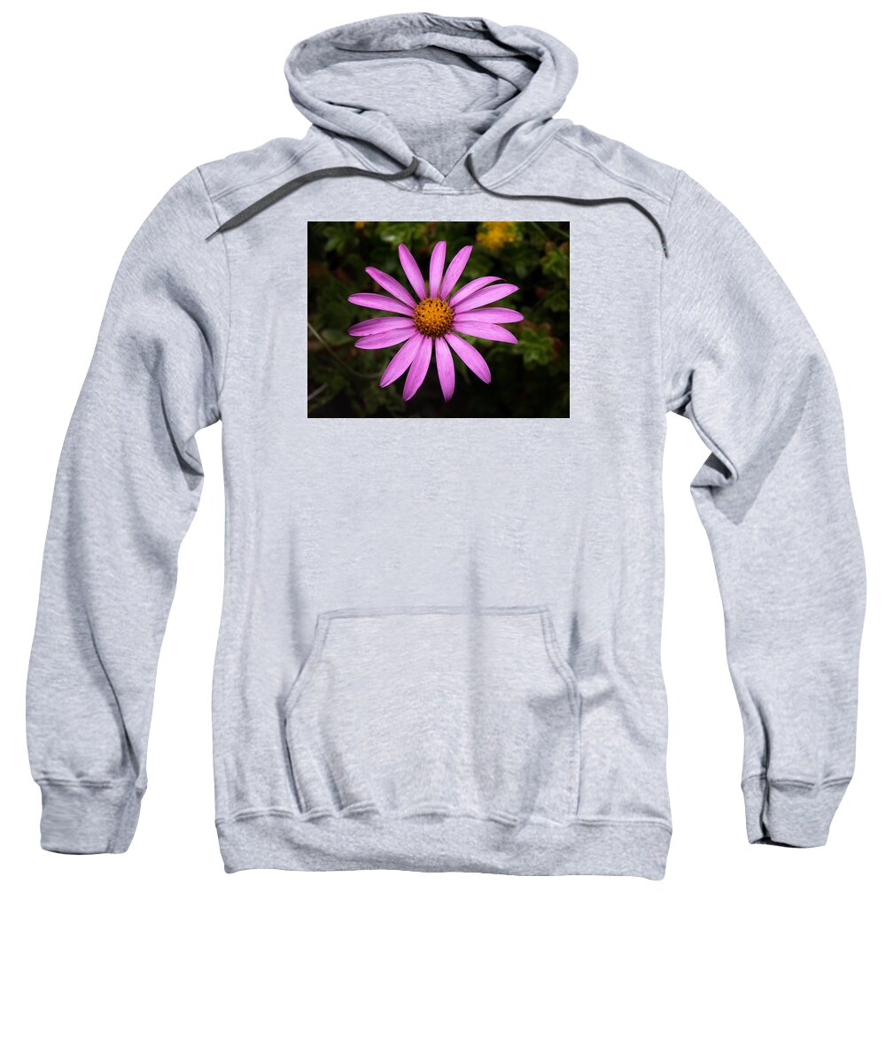 Cape Daisy Sweatshirt featuring the photograph Lone Star by Richard Brookes