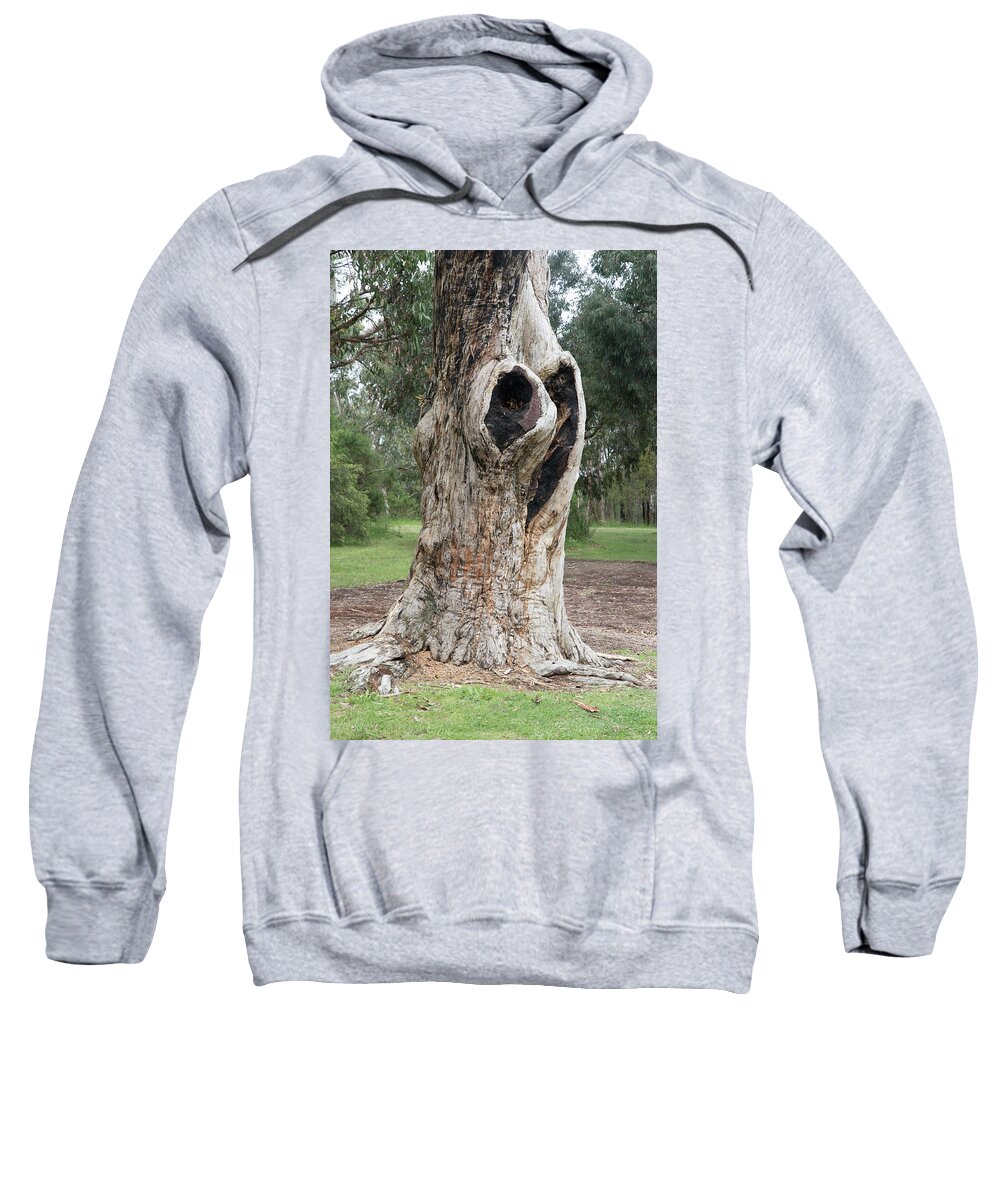 Landscape Sweatshirt featuring the photograph Lone Tree by Masami IIDA