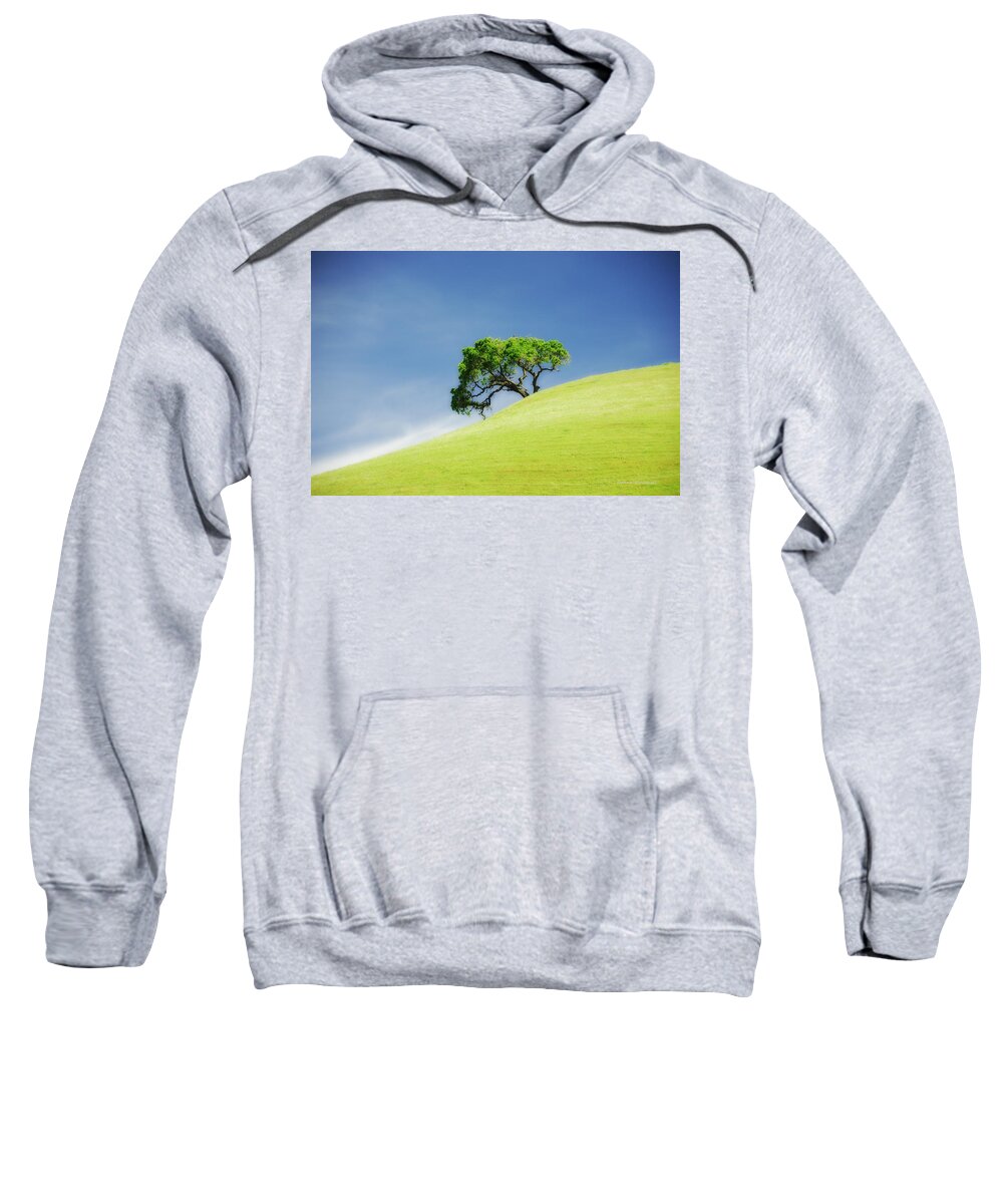 Castle Rock Park Sweatshirt featuring the photograph Lonely Summer by Donna Blackhall