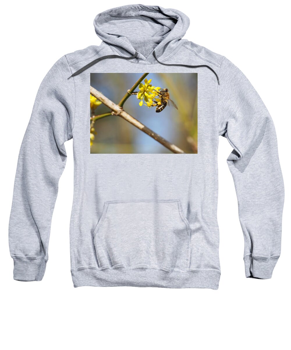 Bee Sweatshirt featuring the photograph Long Awaited by Jessica Myscofski
