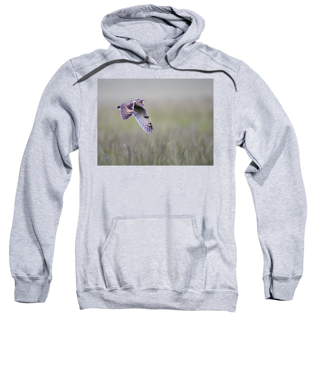 Longeared Sweatshirt featuring the photograph Long eared owl hunting at dusk by Tony Mills