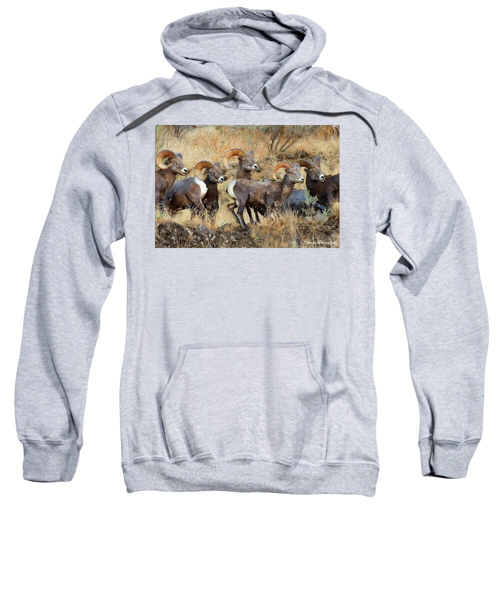 Landscape Sweatshirt featuring the photograph Look at That by Steve Warnstaff