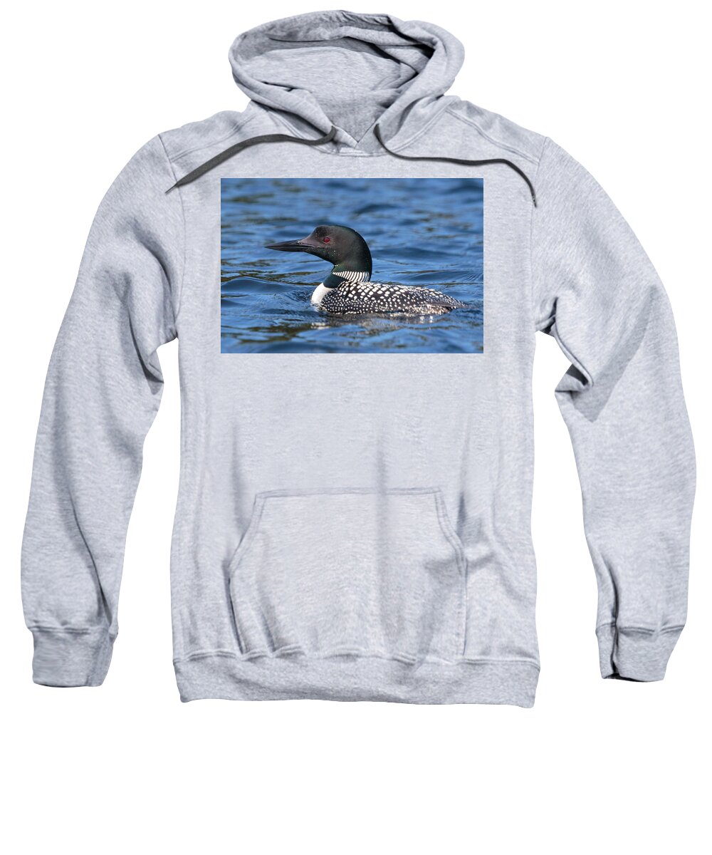 Boundary Waters Sweatshirt featuring the photograph Loon Close UP by Paul Schultz