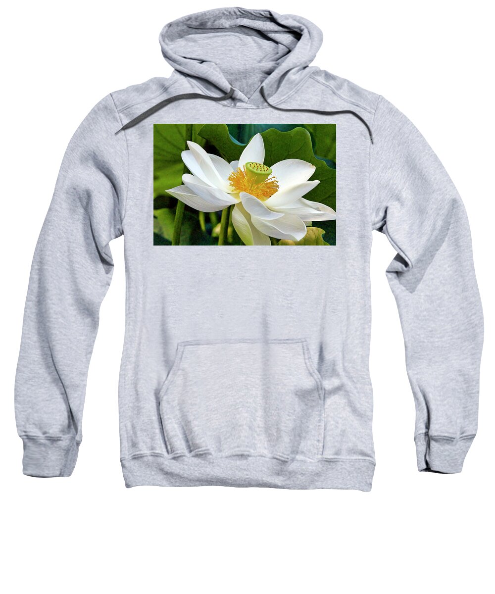 Recent Sweatshirt featuring the photograph Lotus FLower by Geraldine Scull