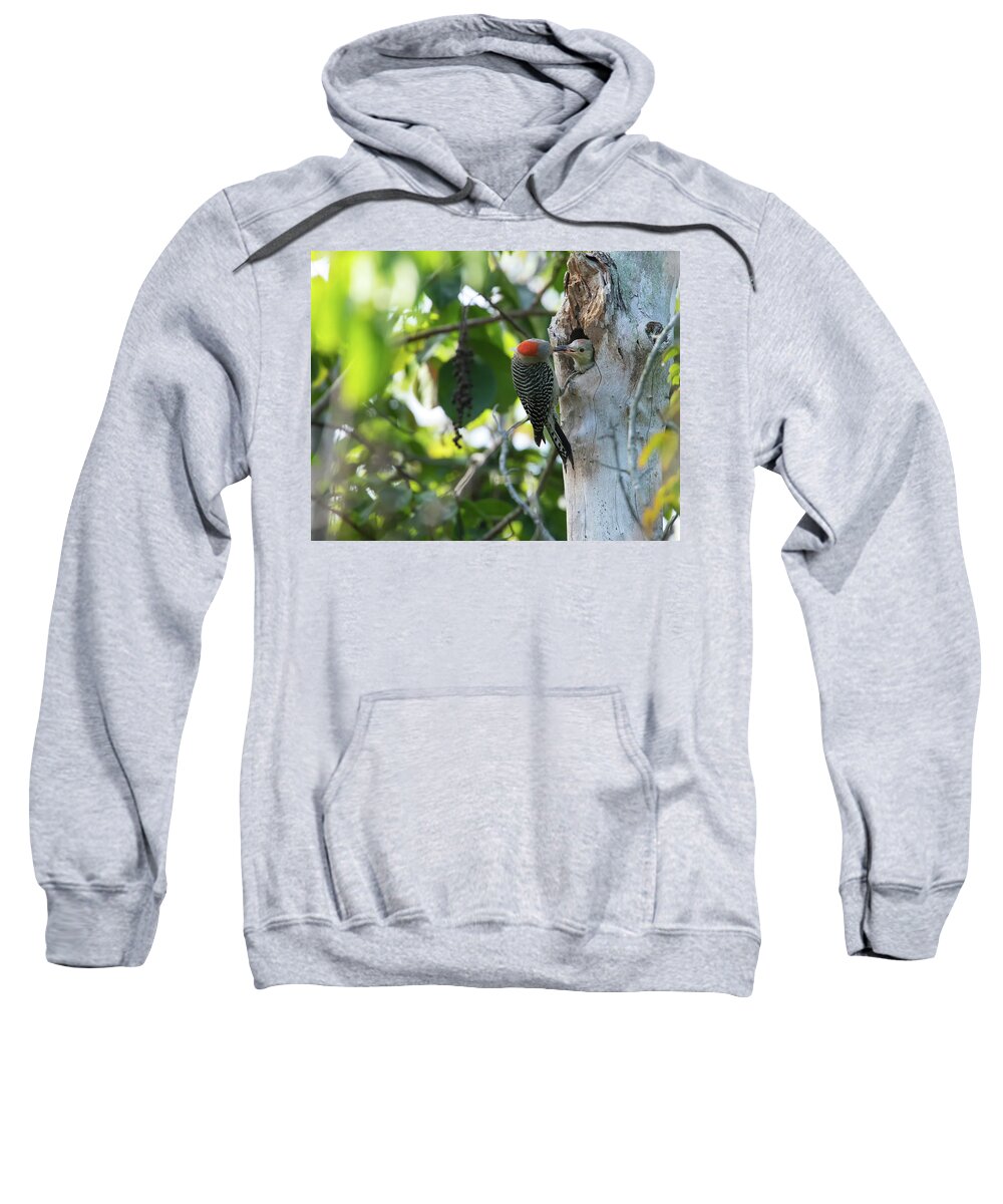 Nature Sweatshirt featuring the photograph Lunchtime by Arthur Dodd