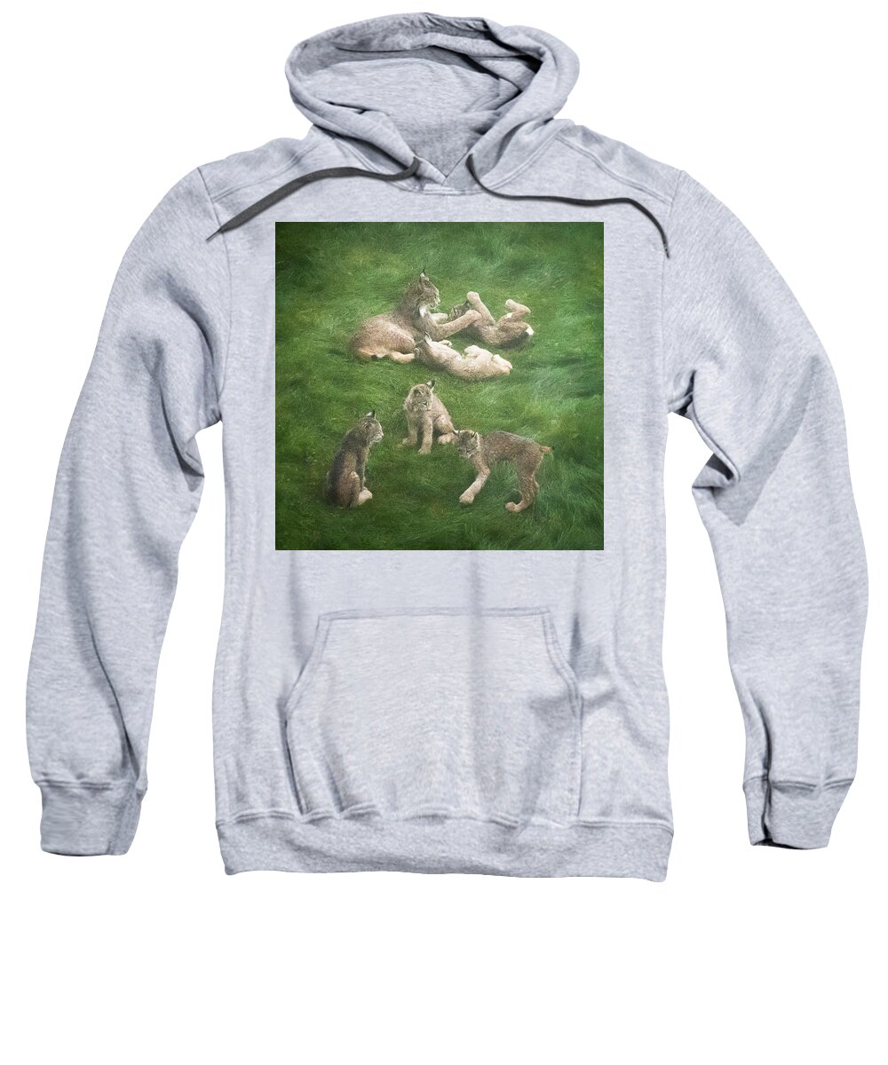 Lynx Sweatshirt featuring the photograph Lynx in the Mist by Tim Newton