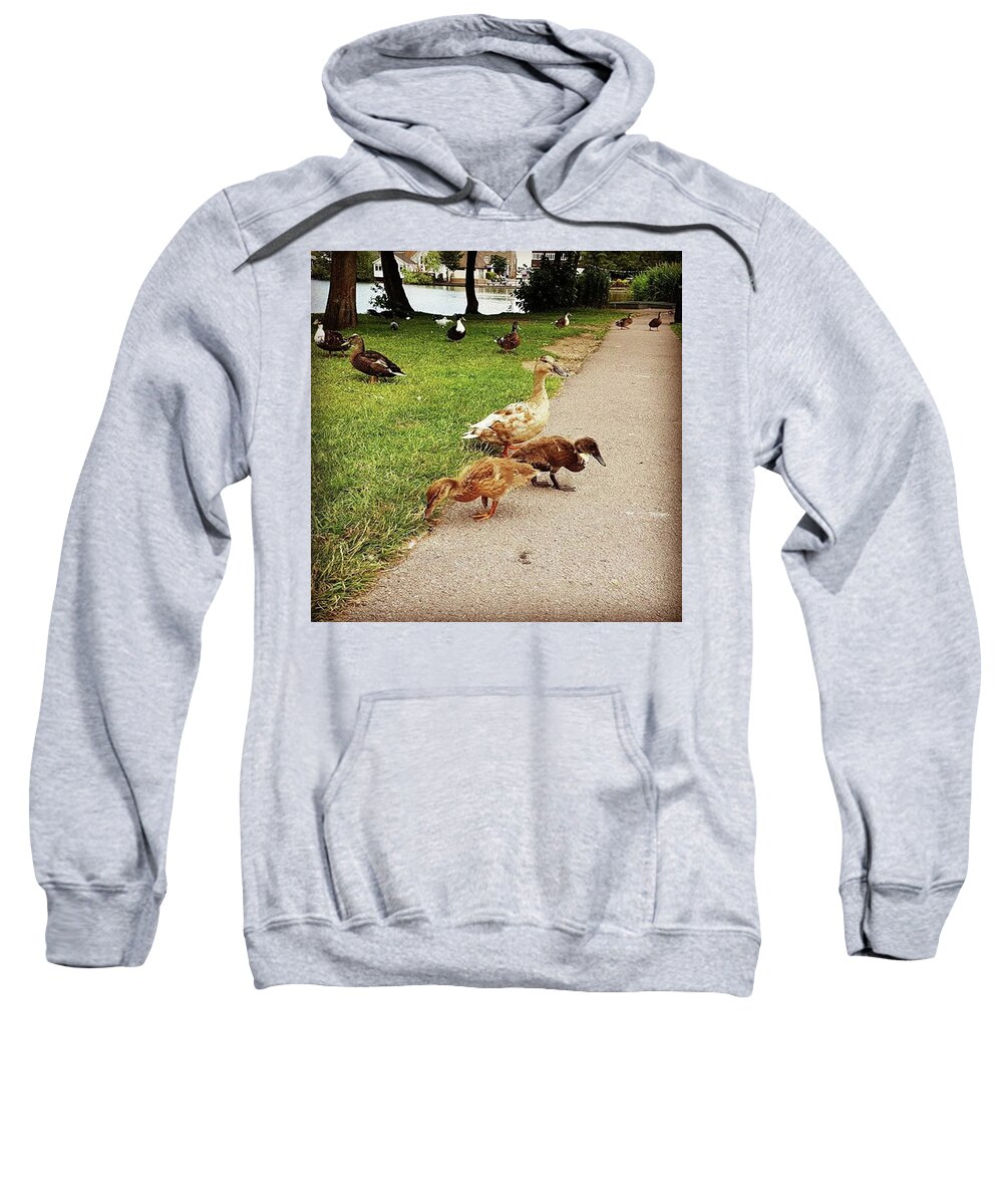 Countrylife Sweatshirt featuring the photograph Mamma Duck by Rowena Tutty