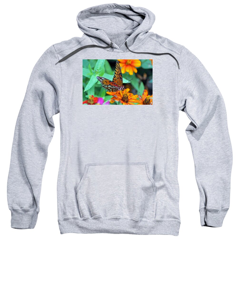 Butterfly Sweatshirt featuring the photograph Monarch Butterfly Resting by Cynthia Guinn