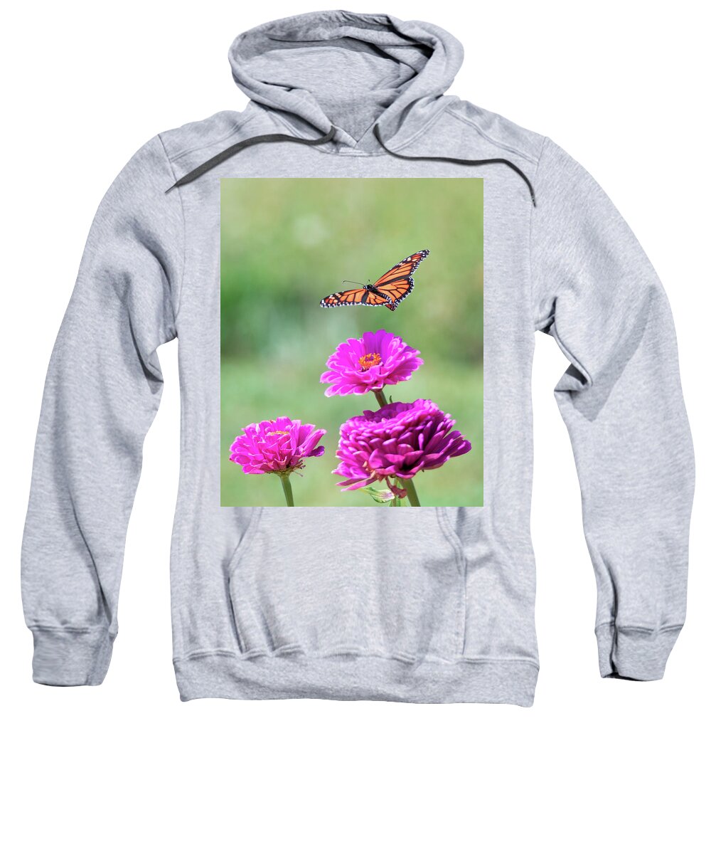 Butterfly Flying Flight Mid-air Mid Air Monarch Inset Butterflies Flowers Garden Botany Botanical Outside Outdoors Nature Natural Brian Hale Brianhalephoto Ma Mass Massachusetts Newengland New England U.s.a. Usa Sweatshirt featuring the photograph Monarch in Flight 2 by Brian Hale