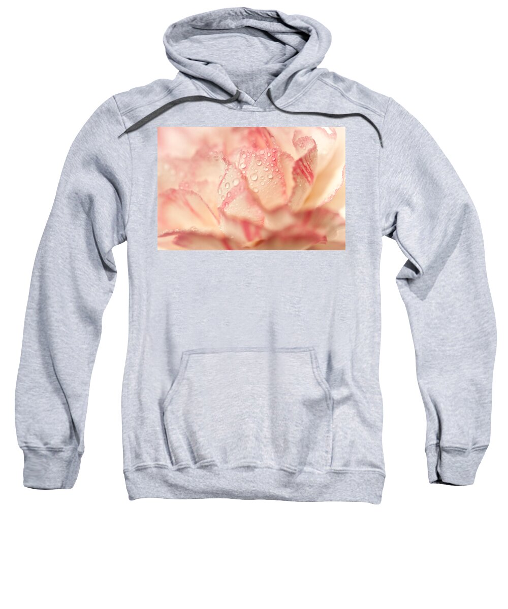Jenny Rainbow Fine Art Photography Sweatshirt featuring the photograph Morning Freshness. Natural Watercolor. Touch of Japanese Style by Jenny Rainbow