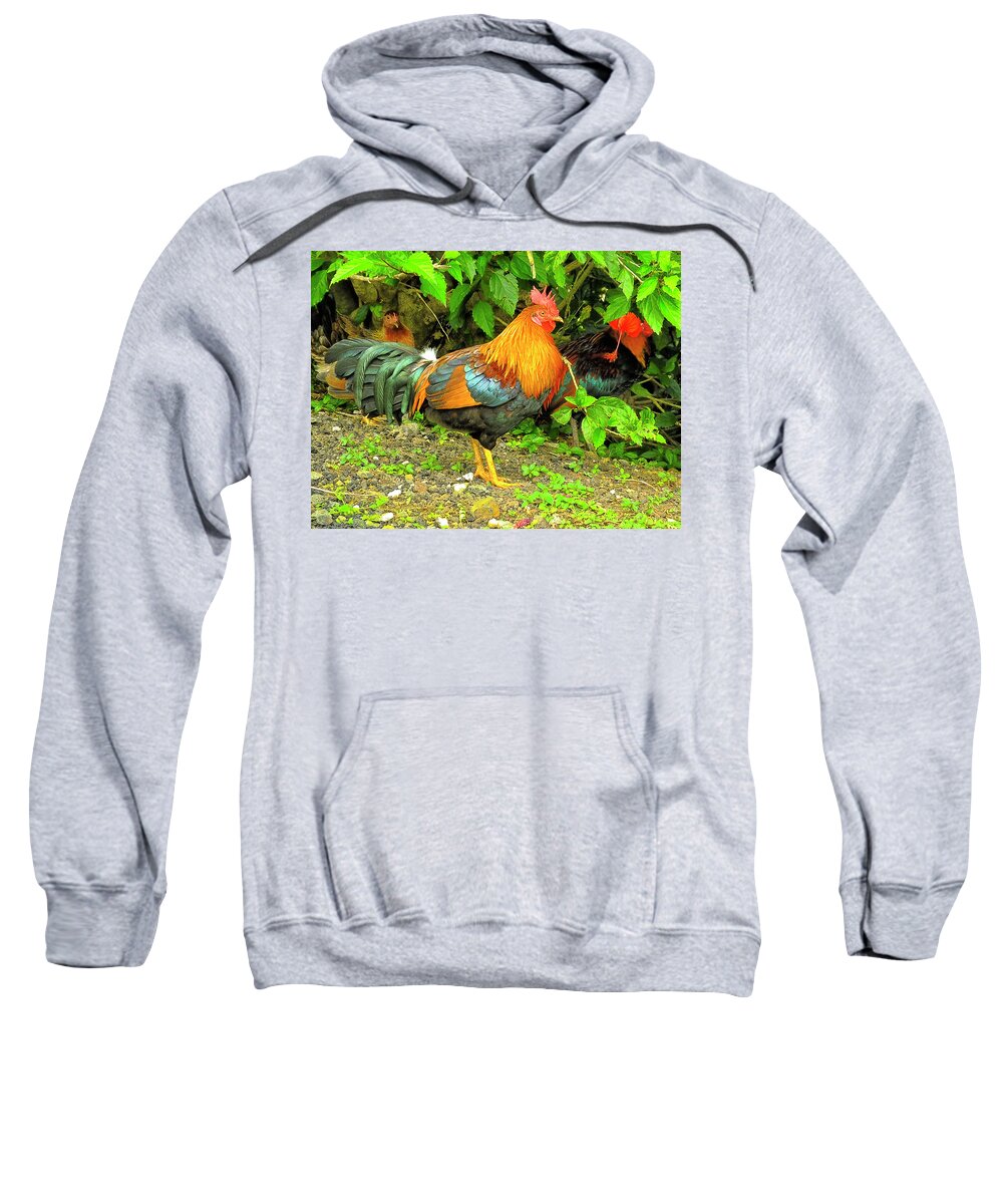 Chicken Sweatshirt featuring the photograph Moorea Chicken by Bill Barber
