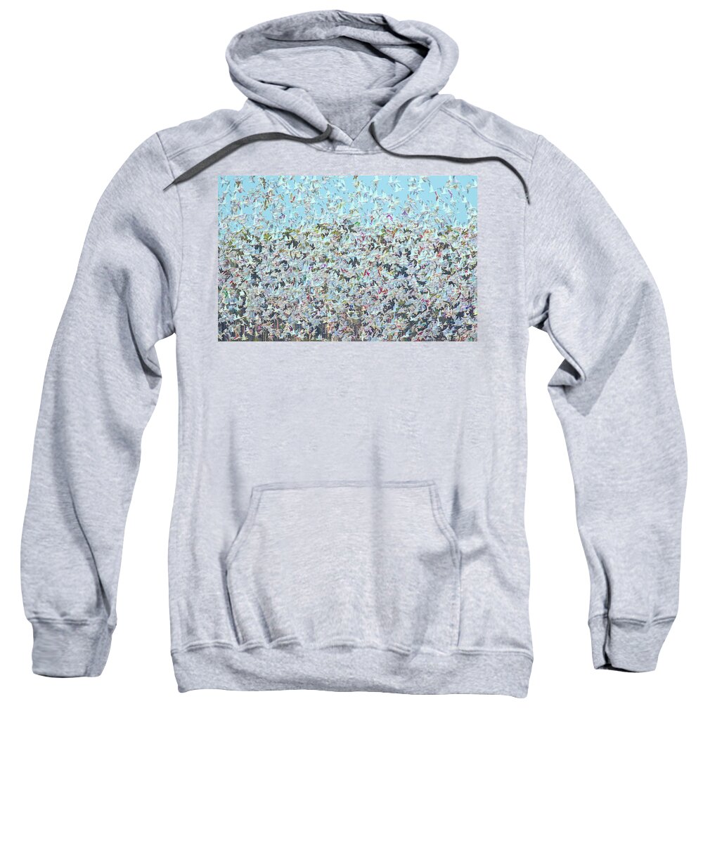 Birds Sweatshirt featuring the photograph Morning Flurry by Art Cole