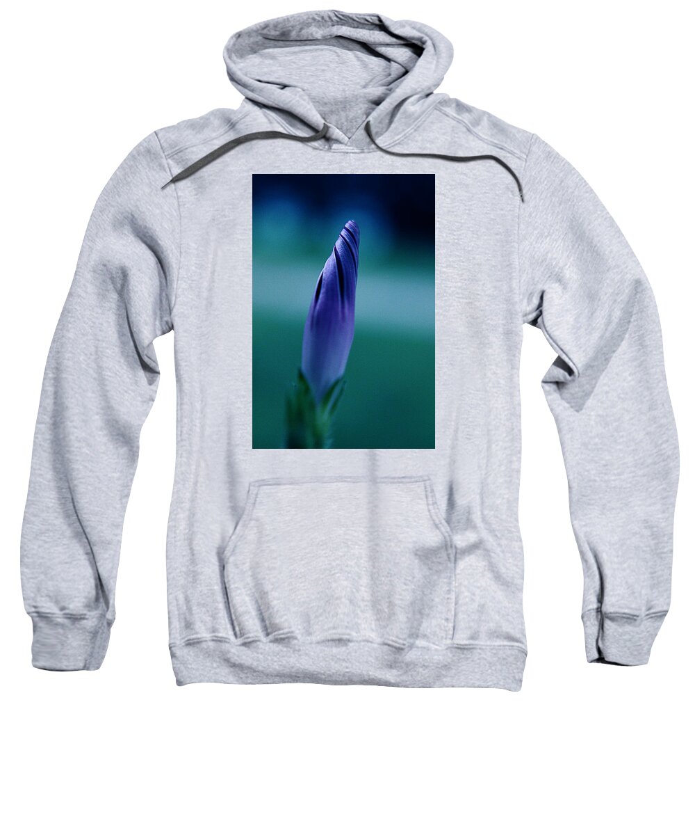 Morning Glory Sweatshirt featuring the photograph Morning Glory by Tiffany Jean