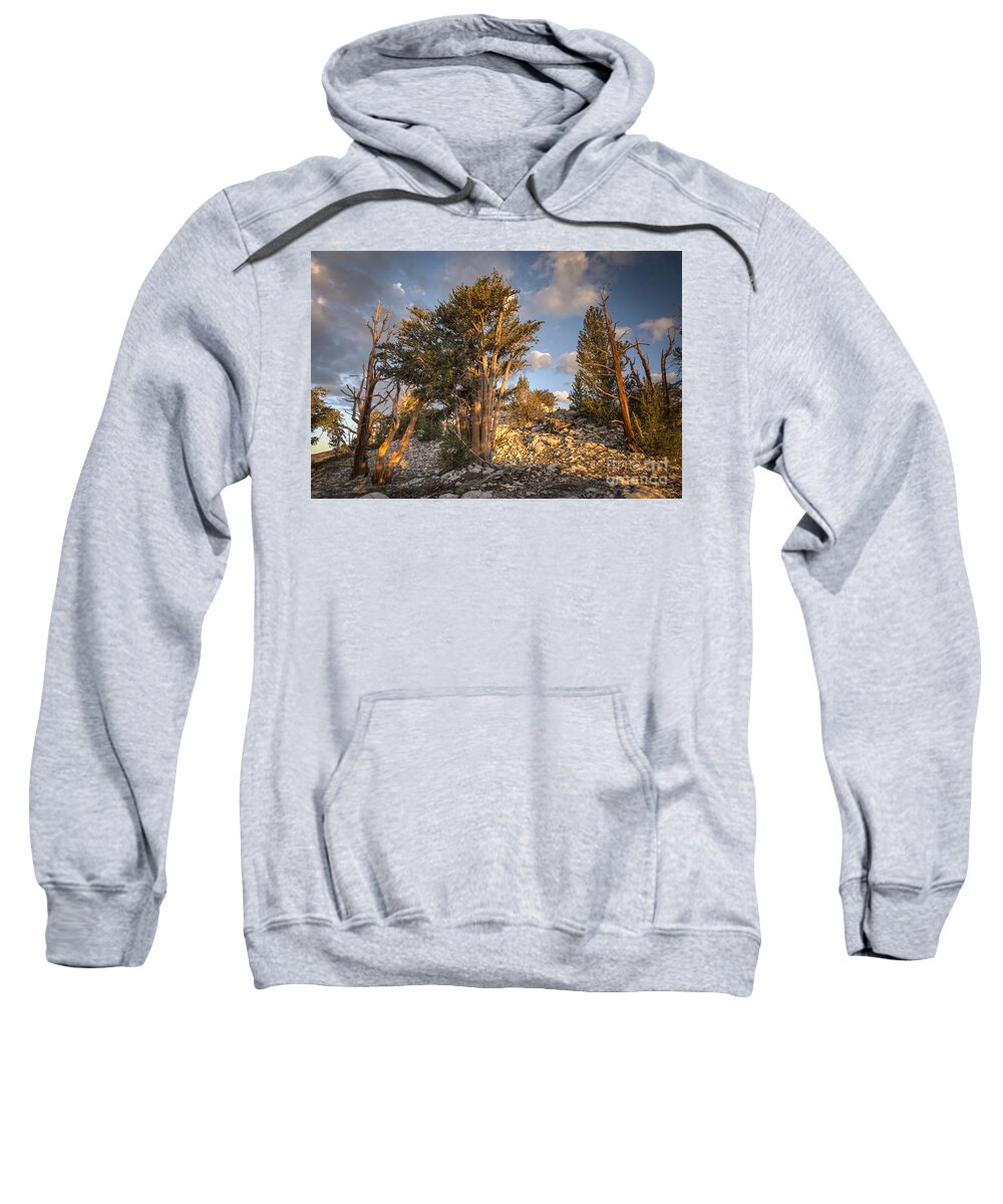 White Mountains Sweatshirt featuring the photograph Morning in the White Mountains by Jennifer Magallon