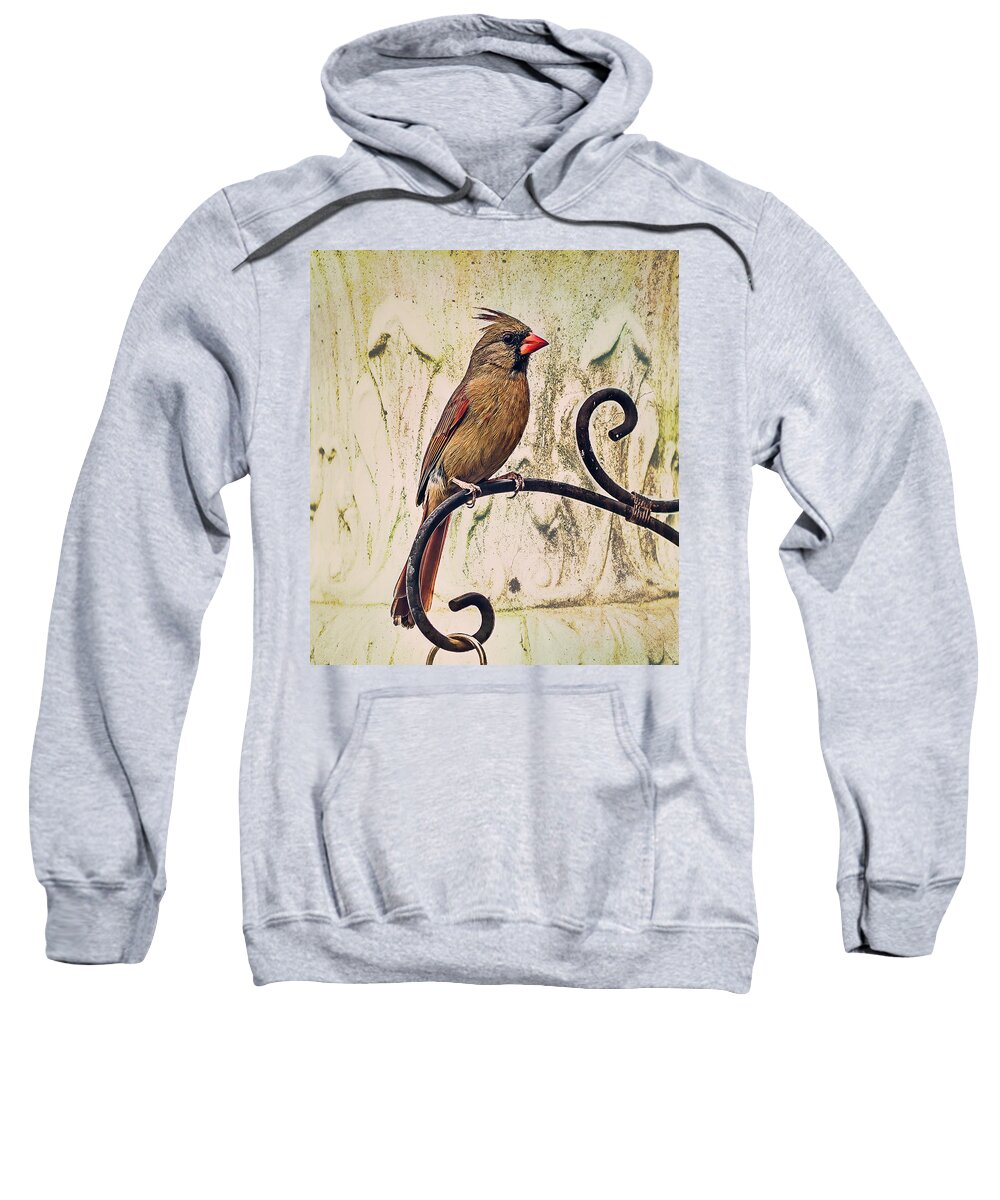 Songbird Sweatshirt featuring the photograph Morning Songbird by Cynthia Wolfe