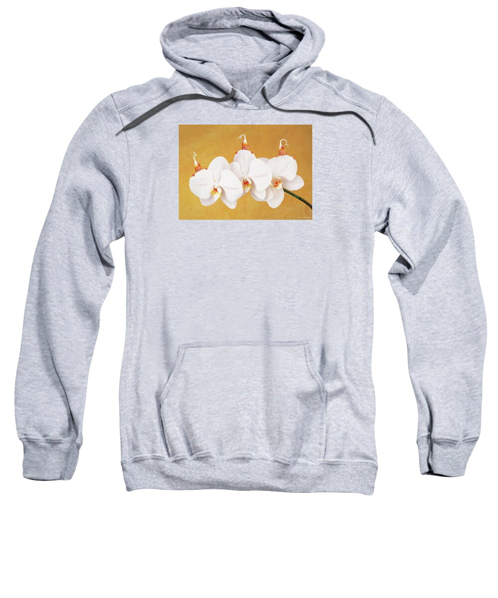 Triplets Sweatshirt featuring the photograph Moth Orchid by Anne Geddes