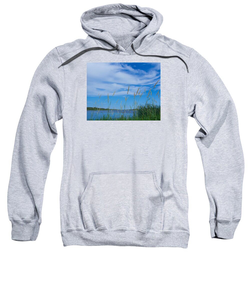 Water Sweatshirt featuring the photograph Mount Carmel thru the weeds by Jana Rosenkranz